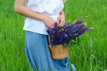 Similar image 11469132