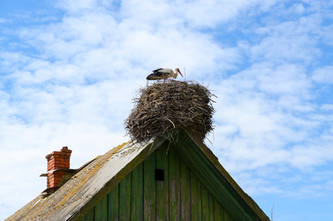 Similar image 11469137