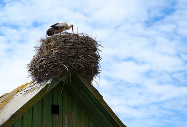 Similar image 11469138