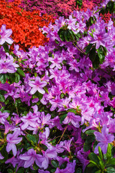 Similar image 11469613