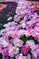 Similar image 11469448