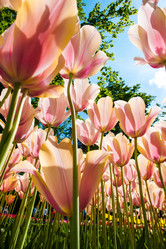 Similar image 11469779