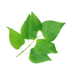 Similar image 11469089