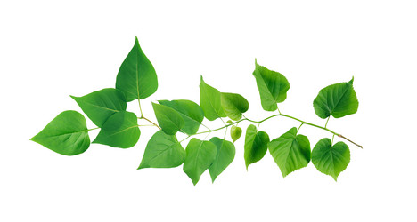 Similar image 11469093