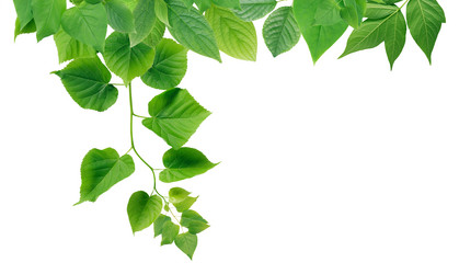 Similar image 11469095