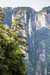 Similar image 11469113