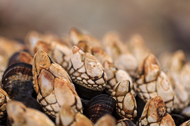 Similar image 11469936