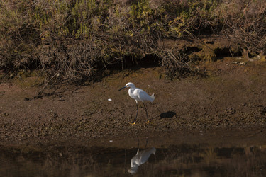 Similar image 11469958