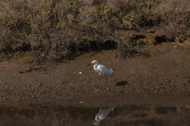 Similar image 11469959