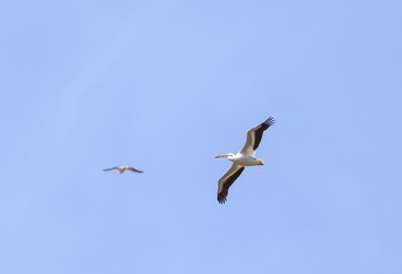 Similar image 11469960