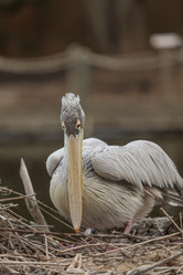 Similar image 11469961