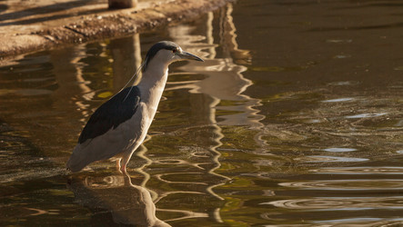 Similar image 11469965