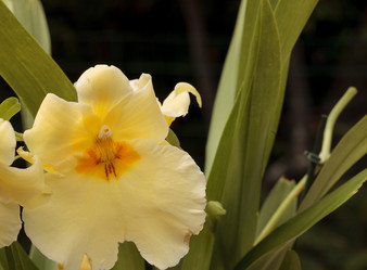 Similar image 11470038