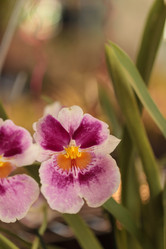 Similar image 11470063