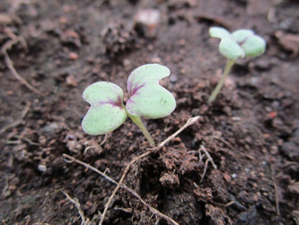 Similar image 11469945