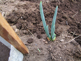 Similar image 11469946