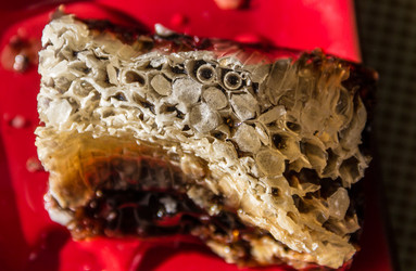 Similar image 11469828