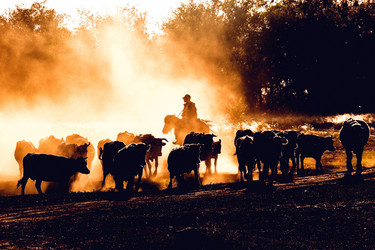 Similar image 11469955