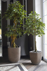 Similar image 11470413