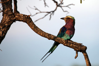 Similar image 11481912