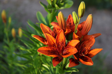 Similar image 11481918