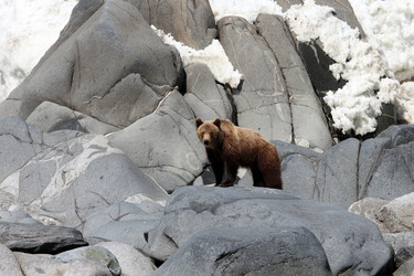 Similar image 11481924