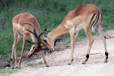 Similar image 11481931