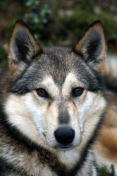 Similar image 11481934