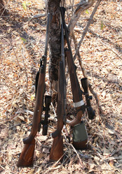 Similar image 11481941