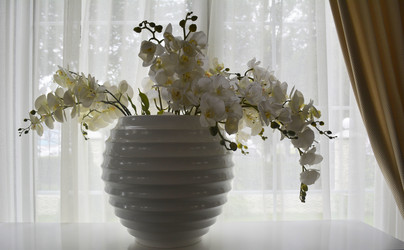 Similar image 11470418