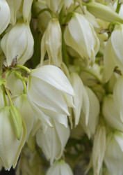 Similar image 11470419