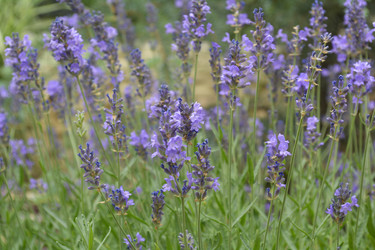 Similar image 11470446