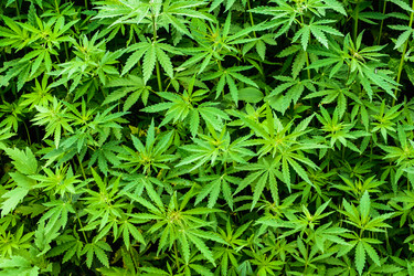 Similar image 11470808