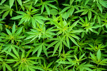 Similar image 11470809