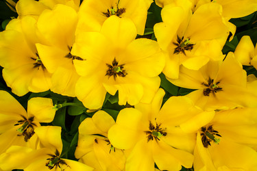 Similar image 11473169