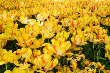 Similar image 11473172