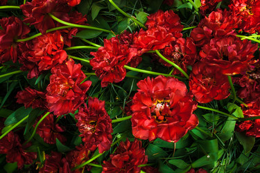 Similar image 11473181