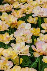 Similar image 11473185