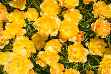 Similar image 11473190