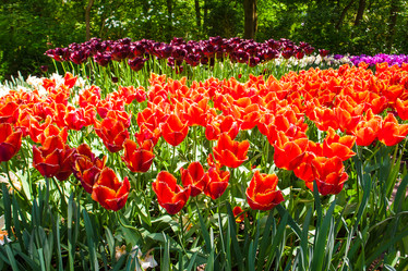 Similar image 11473191