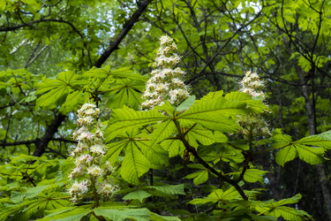 Similar image 11471096