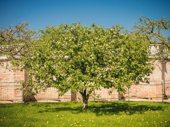 Similar image 11473101