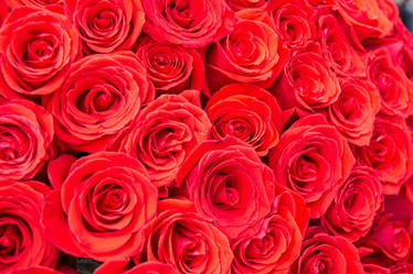 Similar image 11470810