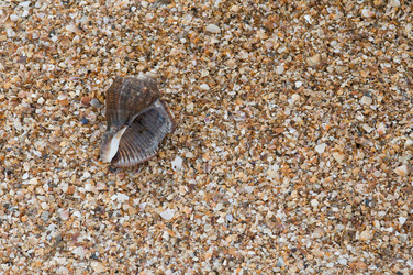 Similar image 11470928