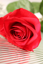 Similar image 11471310