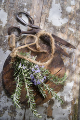 Similar image 11473389