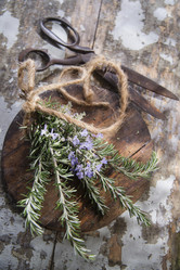 Similar image 11473390