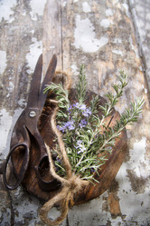 Similar image 11473392