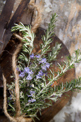 Similar image 11473394