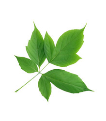 Similar image 11472047